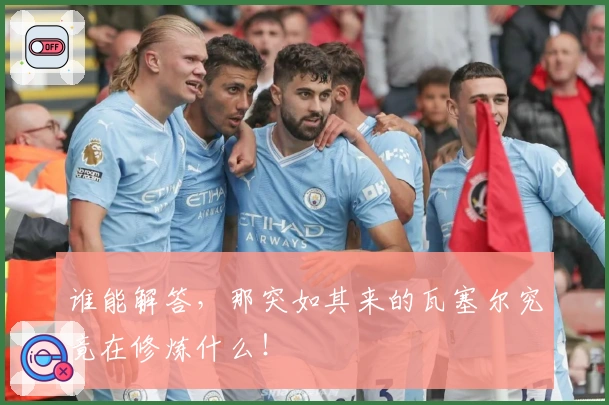 谁能解答，那突如其来的瓦塞尔究竟在修炼什么！