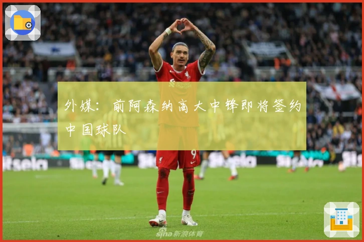 外媒：前阿森纳高大中锋即将签约中国球队
