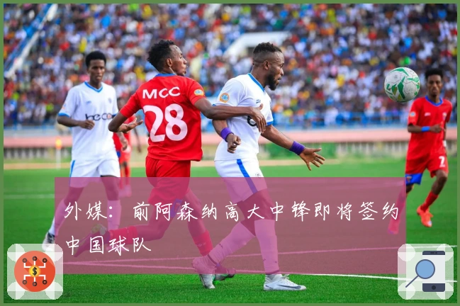 外媒：前阿森纳高大中锋即将签约中国球队